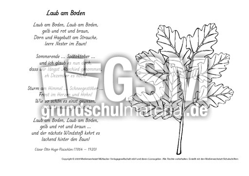 M-Laub-am-Boden-Flaischlen.pdf